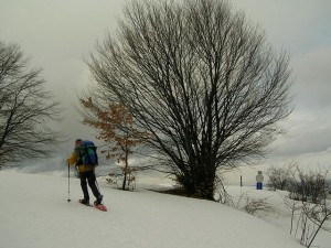 Uso delle Ciaspole