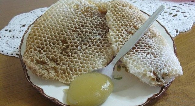 Apicoltura Zafferana Etnea